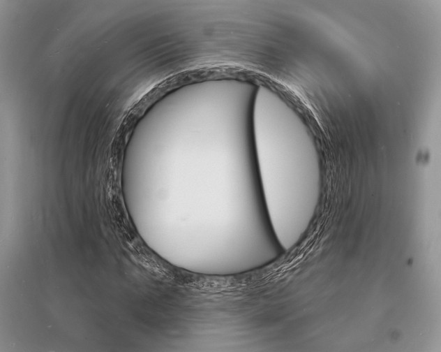 X0000096390871200801241114