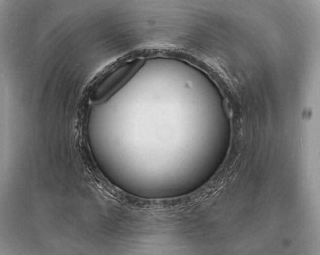 X0000096390872200801241114