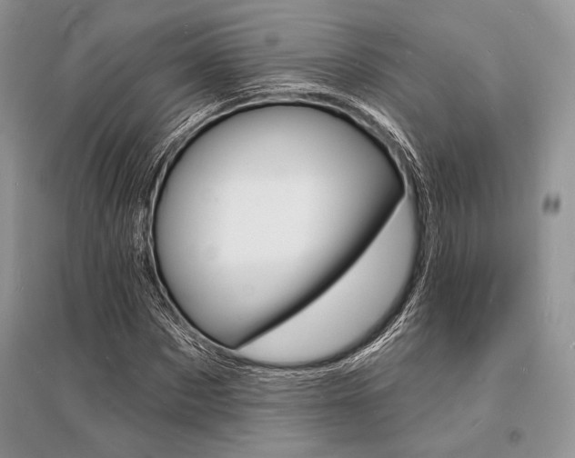 X0000096390873200801241114