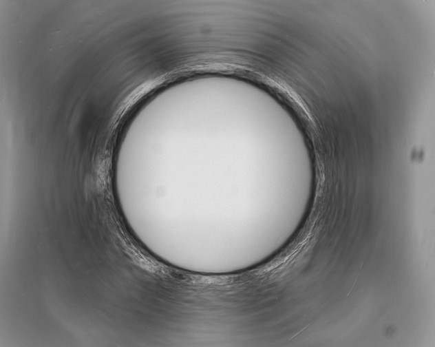 X0000096390874200801241114