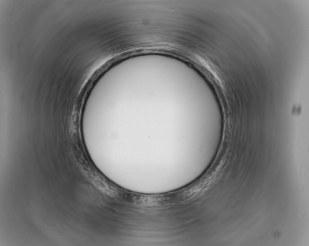X0000096390875200801241114