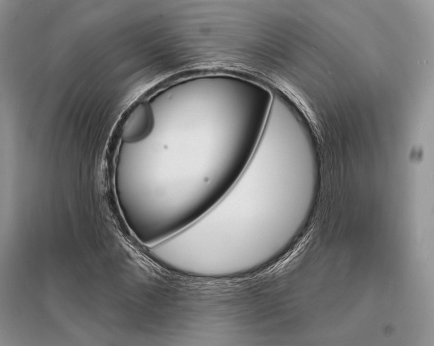 X0000096390876200801241114