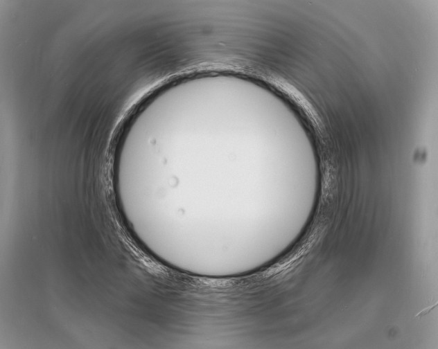 X0000096390878200801241114