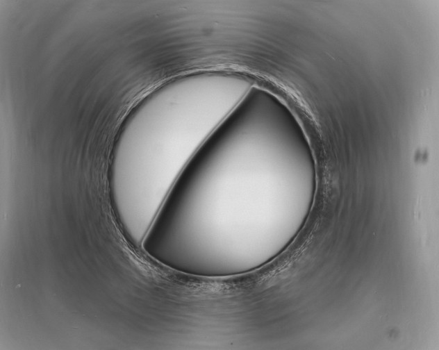X0000096390881200801241114