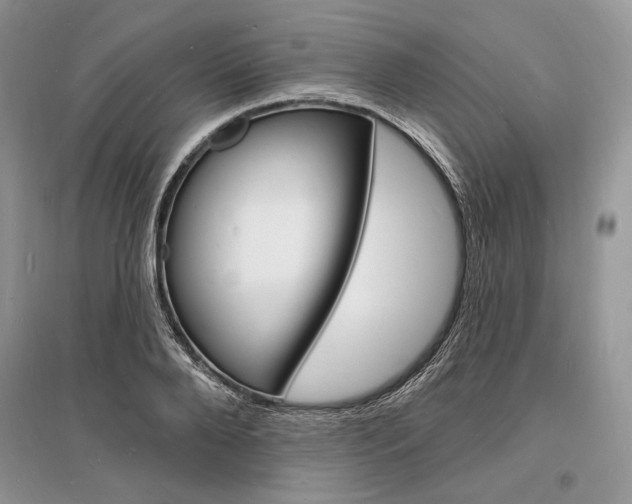 X0000096390888200801241113