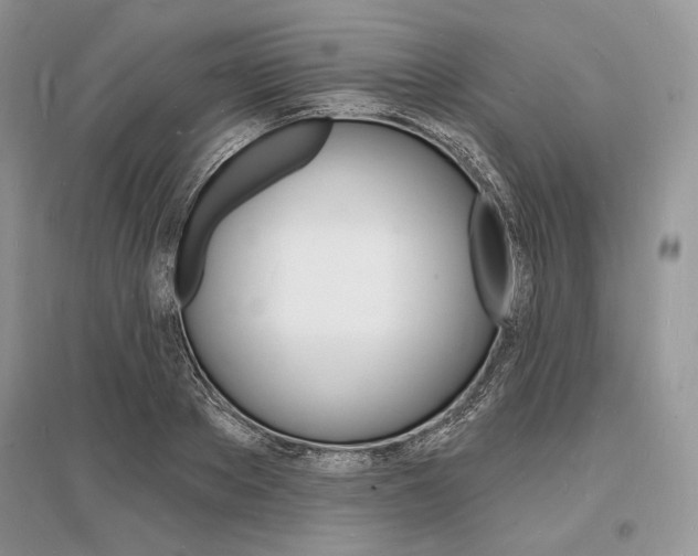 X0000096390889200801241113