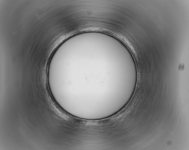 X0000096390890200801241113