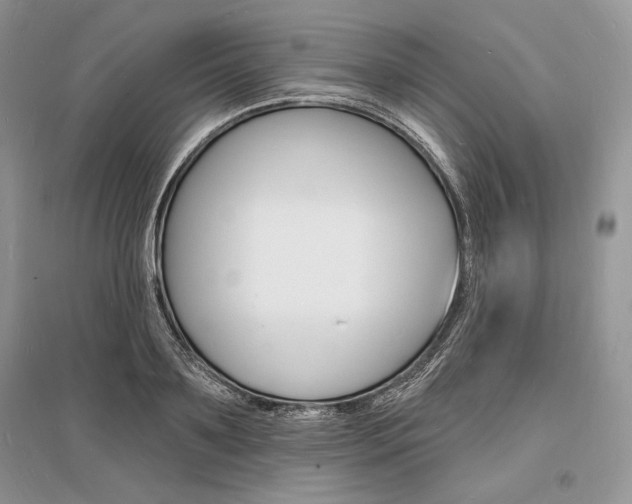 X0000096390891200801241113