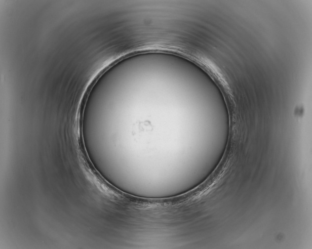 X0000096390892200801241113