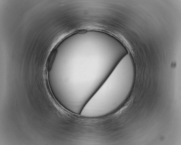 X0000096390893200801241113