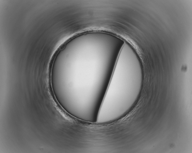 X0000096390894200801241113