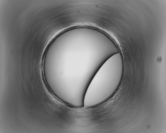 X0000096390895200801241113