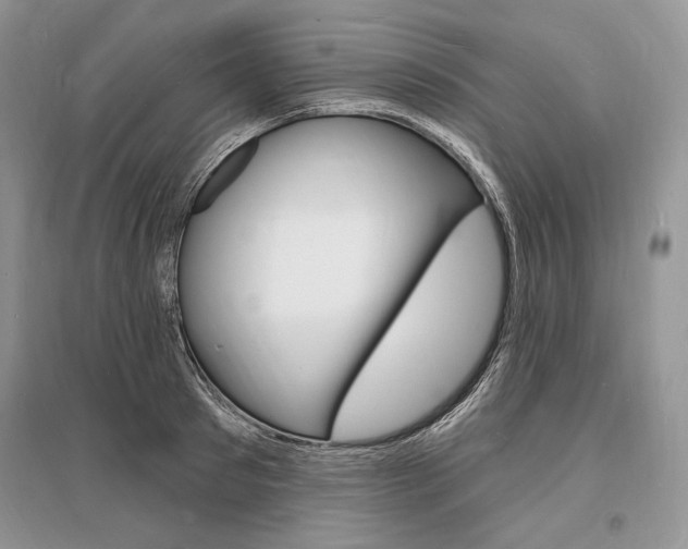 X0000096390897200801241113