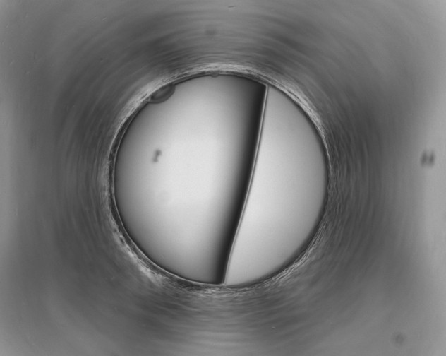 X0000096390898200801241113