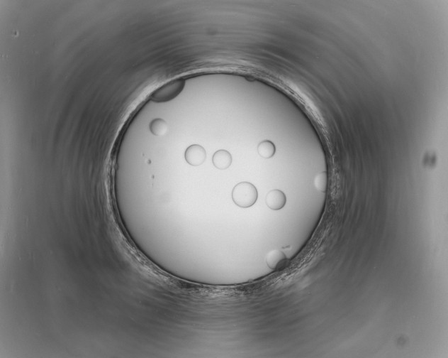 X0000096390899200801241113