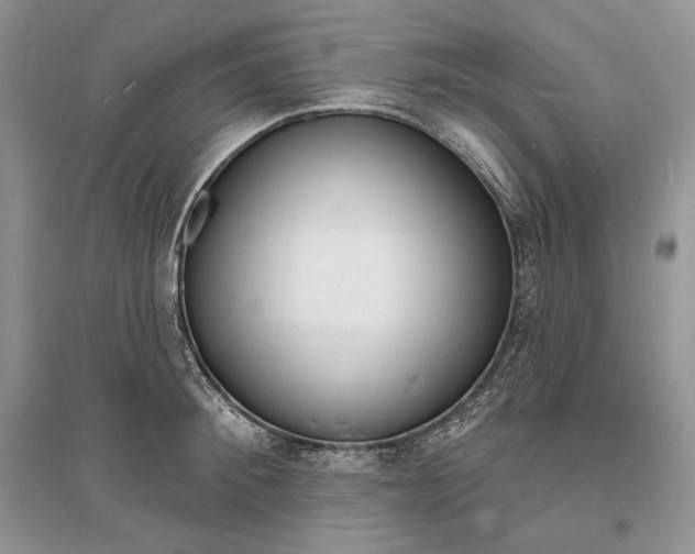 X0000096390900200801241113