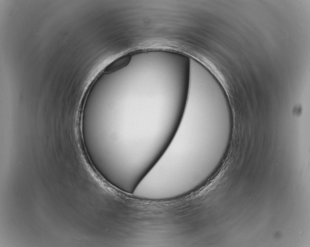 X0000096390901200801241113