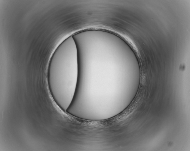 X0000096390903200801241113