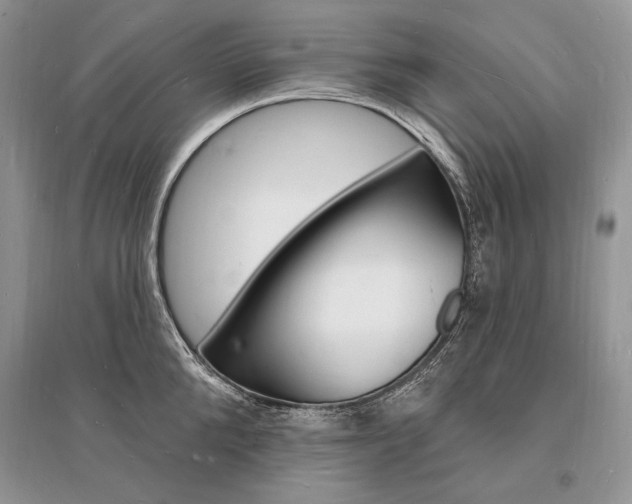 X0000096390904200801241113