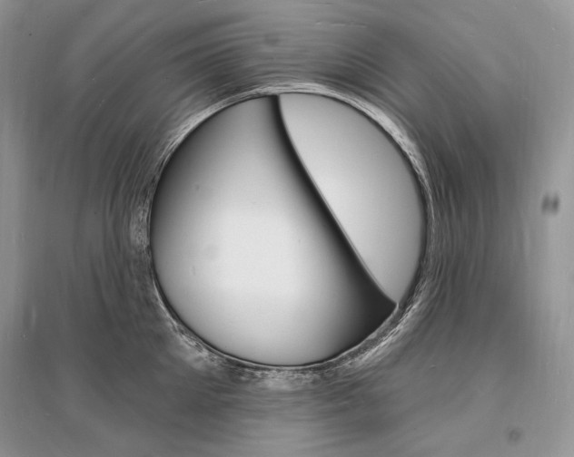 X0000096390905200801241113