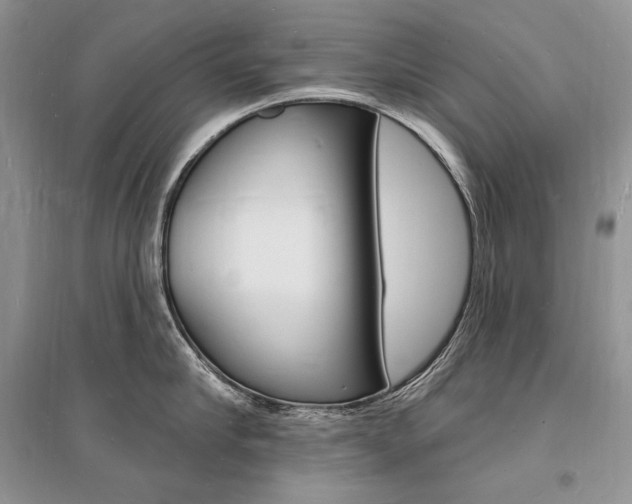 X0000096390910200801241113