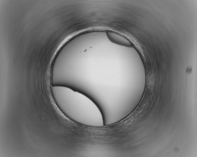 X0000096390911200801241113