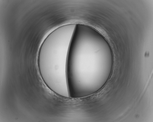 X0000096390912200801241113
