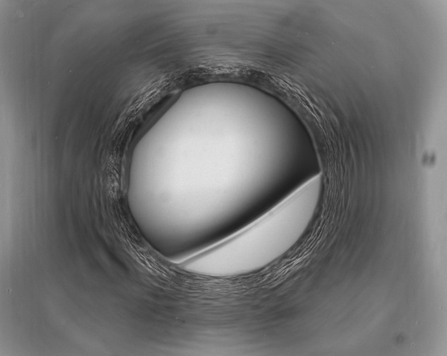 X0000096390916200801241113