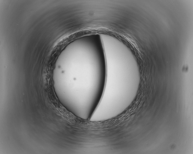 X0000096390920200801241113