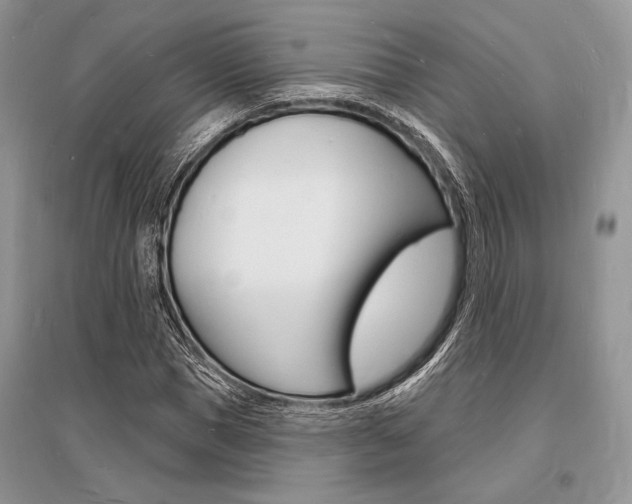 X0000096390921200801241113