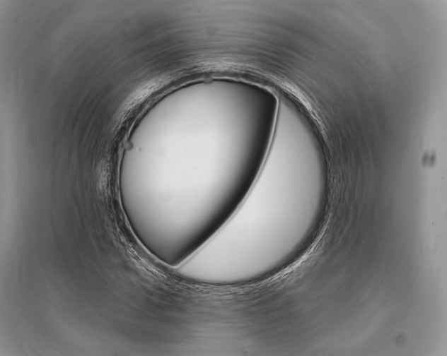 X0000096390922200801241113