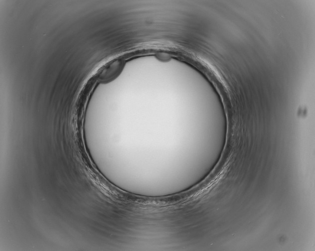 X0000096390923200801241113