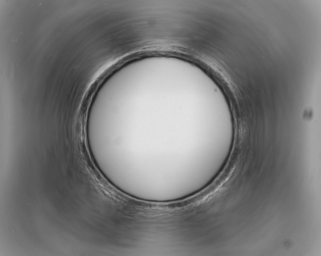 X0000096390925200801241113