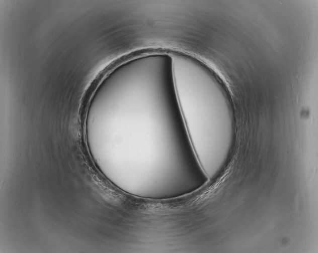 X0000096390927200801241113