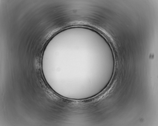 X0000096390929200801241113
