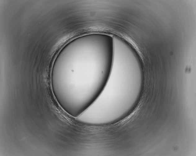 X0000096390930200801241113