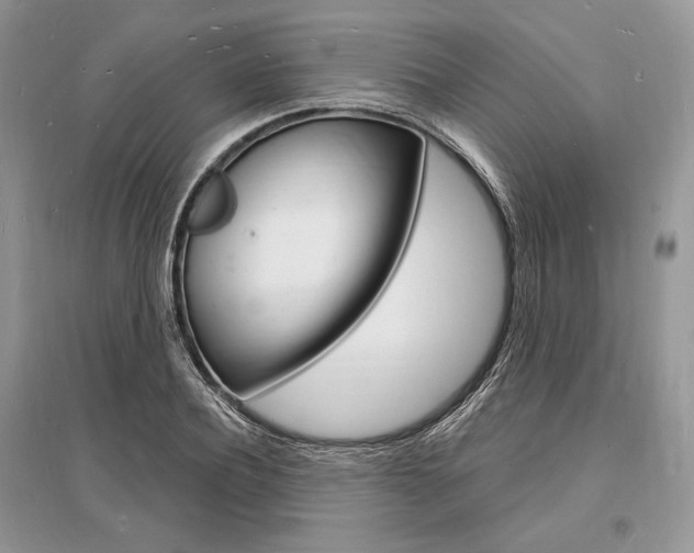 X0000096390932200801241113