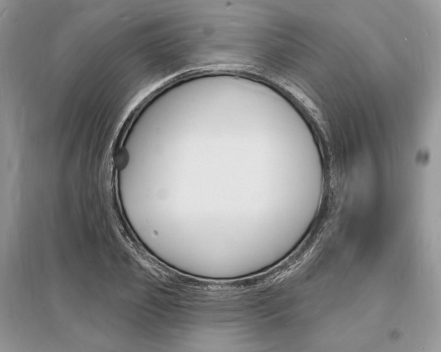 X0000096390933200801241113