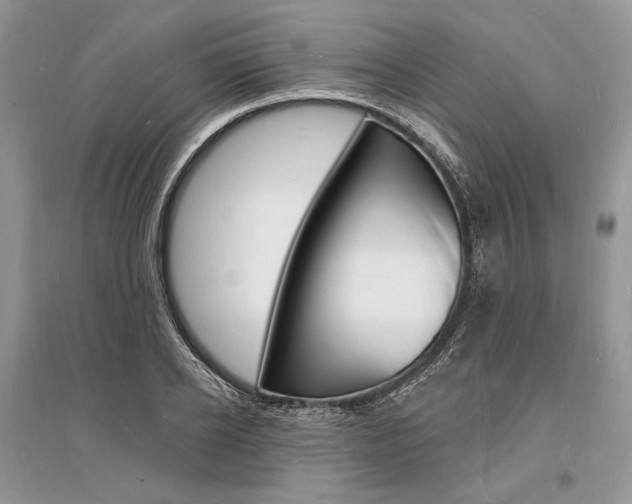 X0000096390934200801241113