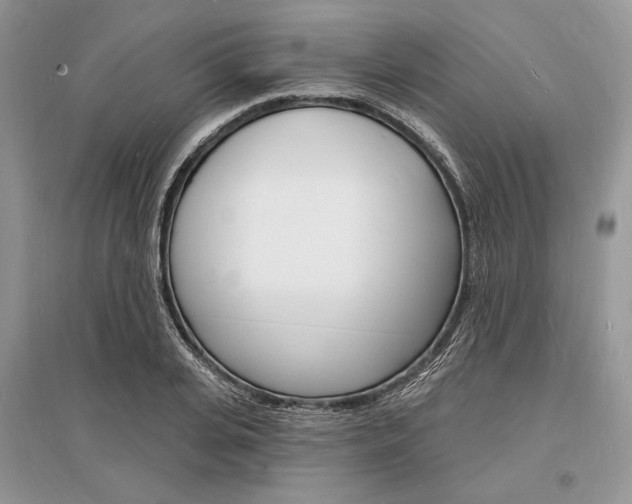 X0000096390935200801241113