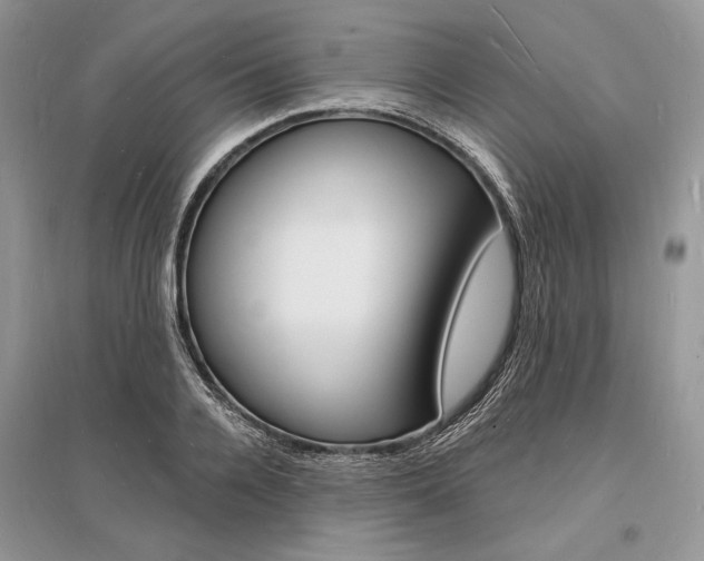 X0000096390936200801241113
