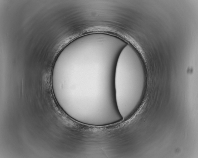 X0000096390937200801241113