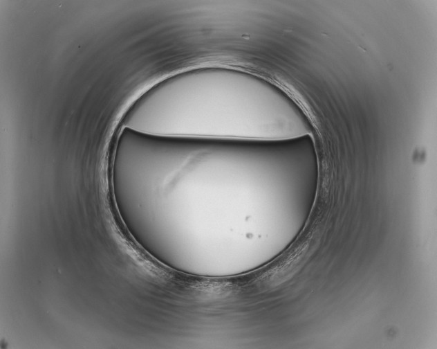 X0000096390939200801241113