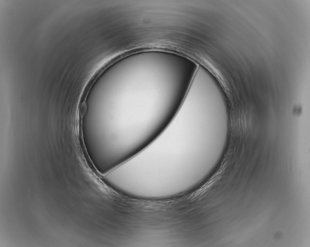 X0000096390940200801241113
