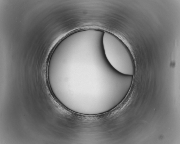 X0000096390941200801241113