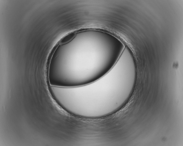X0000096390942200801241113