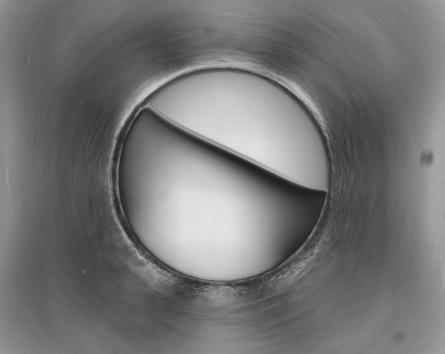 X0000096390943200801241113