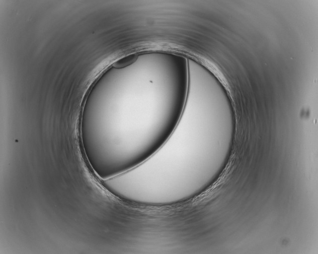X0000096390946200801241113