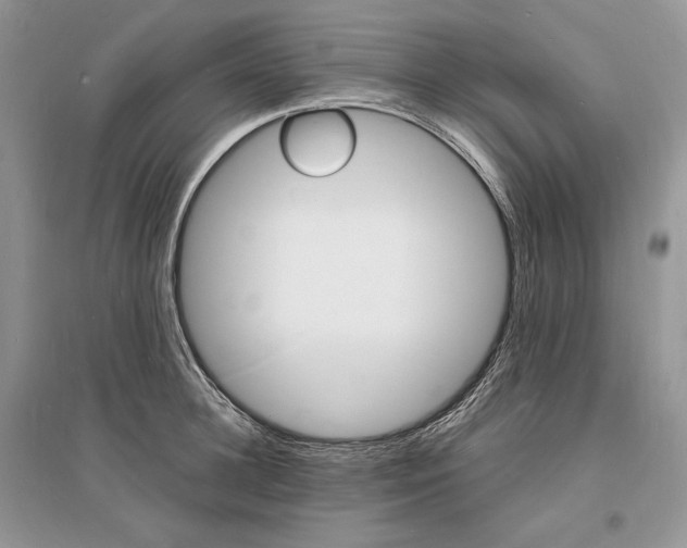 X0000096390948200801241113