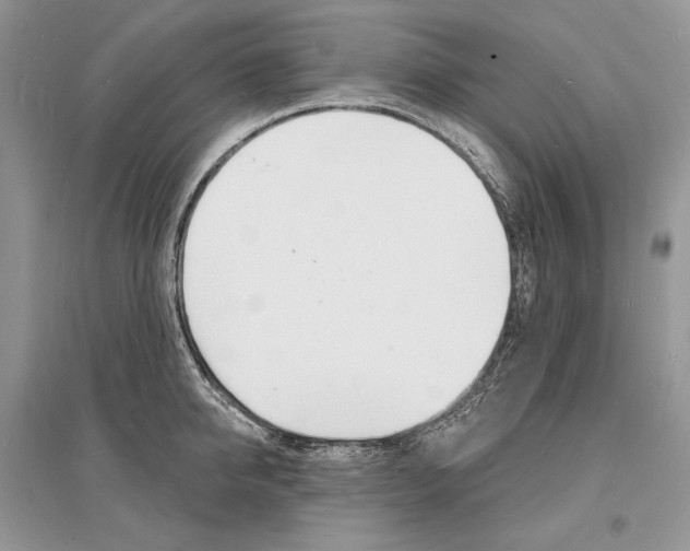 X0000096390950200801241113